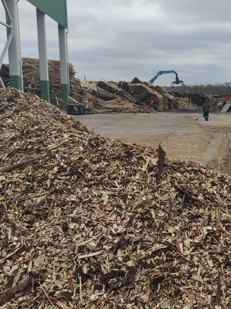 AdobeStock_408883091_biomass_cogeneration_plant_.jpg 