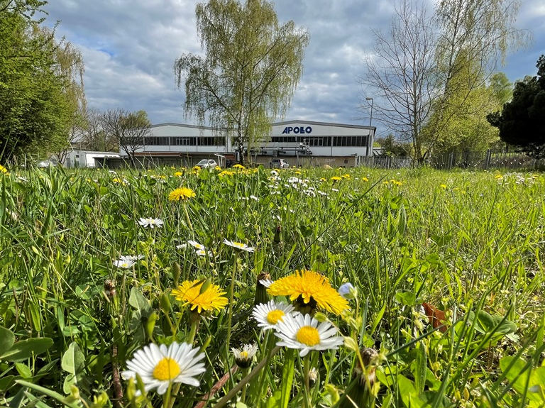 Weitläufiges, grünes Apollo-Firmengelände und angrenzender Streuobstwiese – ein harmonisches Zusammenspiel von Technikstandort und Natur. 