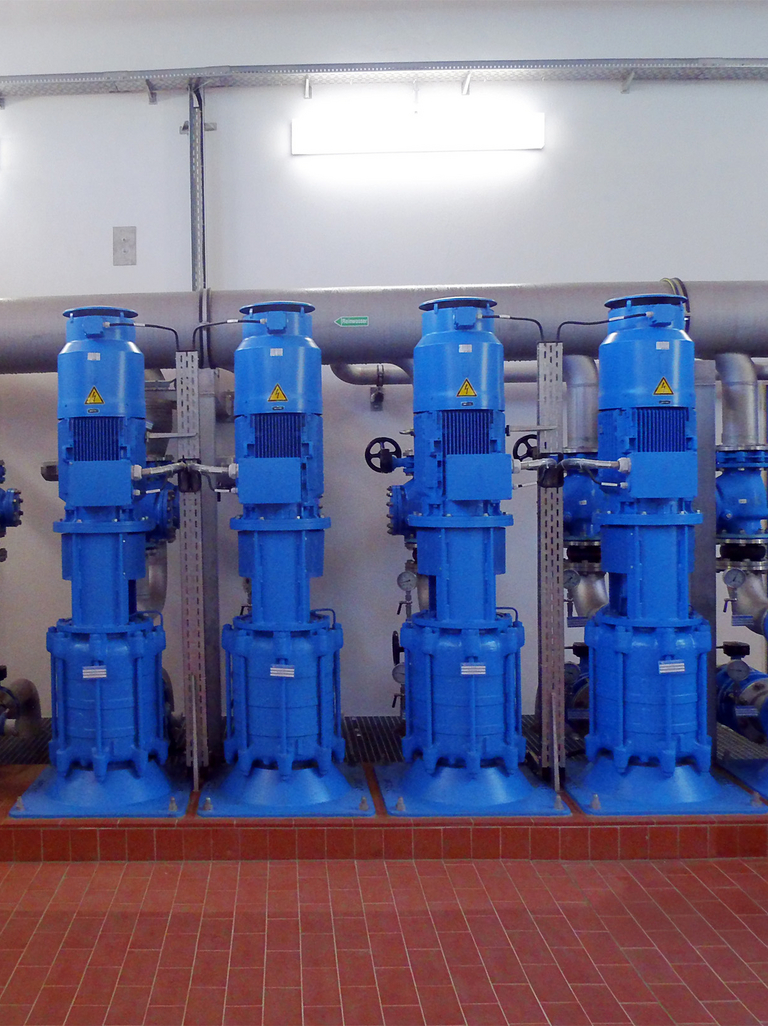 Frontal view of a water system with red floor tiles and blue-painted vertical, dry-installed Apollo type GLVB pumps.