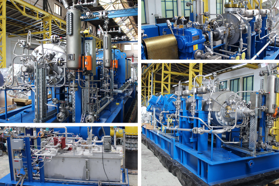 Image collage of 4 detailed shots of an Apollo pump type TGE of a BB5 (API 610) reactor feed pump with gearbox and lubricating oil system ACS from Apollo on a separate base frame. The pump unit is located in the production hall and is ready for pick-up. The pump skid is fully piped for the lubricating oil system, cooling, and electrical components.